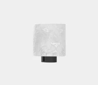 OUGE-ZT-C01 3D Printed Capital Lights