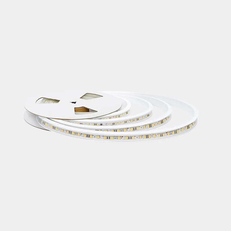 YD-RT16W (YA1）High Brightness Flexible LED Strip Light